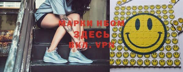 дмт Пересвет
