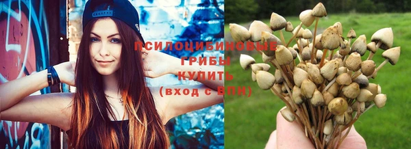 не бодяженный Баксан