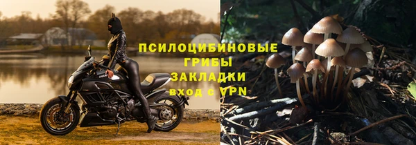 герыч Пестово