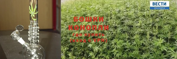 ECSTASY Балахна