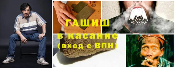 дмт Пересвет